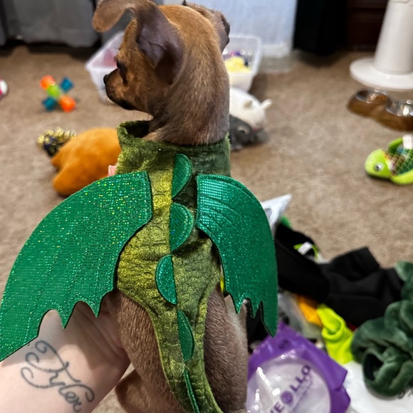 Meet Your Posher - Picture 7 of 16